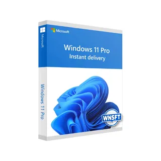 ✅ Windows 11 Pro Key 🔑 | Instant Delivery ⚡ | Fast Support ⭐