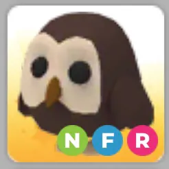 NFR OWL