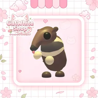 Giant Anteater