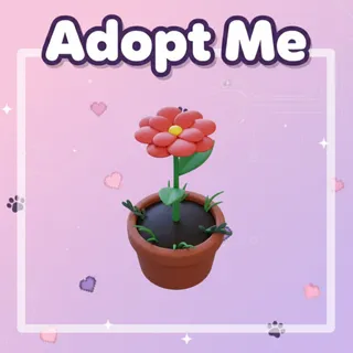 Growing Flower Hat
