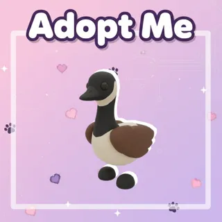 Canada Goose
