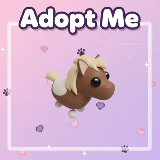 Neon Shetland Pony Dark Brown