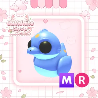 Gecko Ducky MR