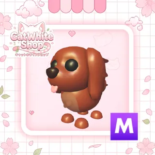 Mega Irish Setter