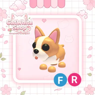 French Bulldog FR