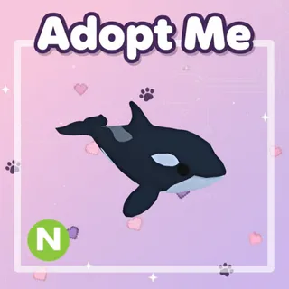 Neon Orca