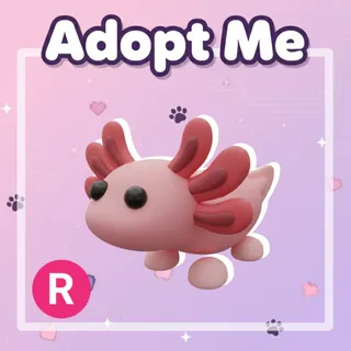 Axolotl R