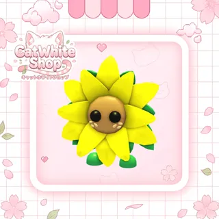 Sunflower Friend