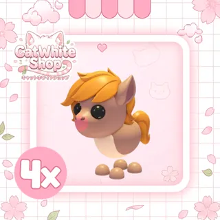 4x Show Pony