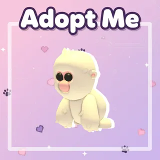 Snow Monkey