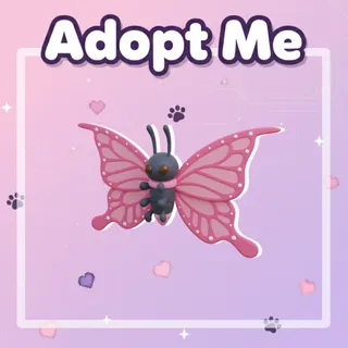 2021 Uplift Butterfly