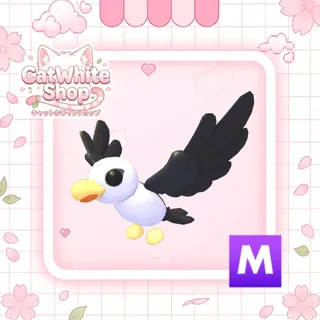 Mega Pilot Gull