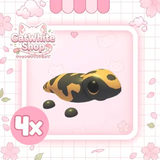 4x Gila Monster