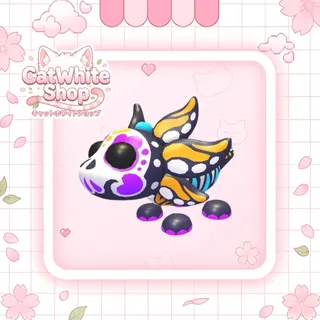 Sugar Axolotl
