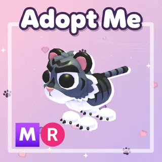 Black Tiger MR