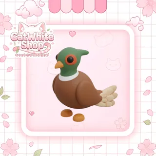 Brown-Chested Pheasant