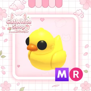 Rubber Ducky MR