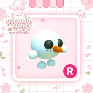 Snowball Pet R