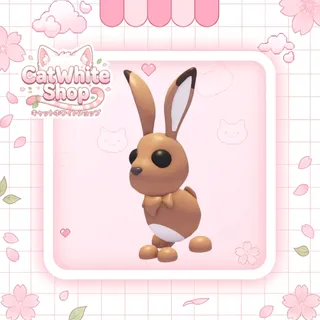 Hare