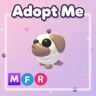 Snowball Pug MFR