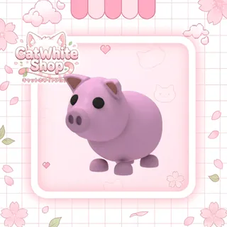Pig