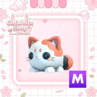 Mega Mochi Meow