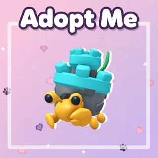 Castle Hermit Crab