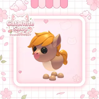 Show Pony