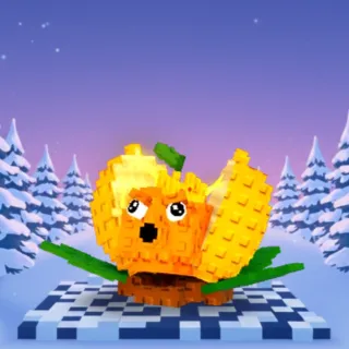 Gold King Limone | 116k