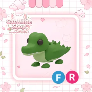 Crocodile FR