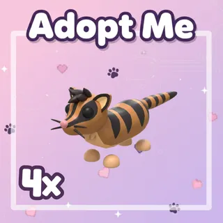 4x Banded Palm Civet
