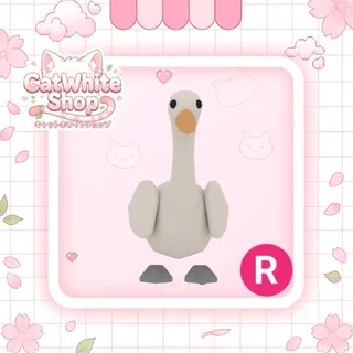 Swan R