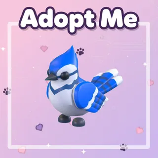 Neon Blue Jay 