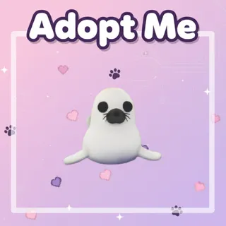 Harp Seal