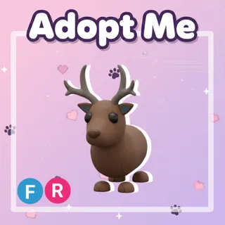 Reindeer FR