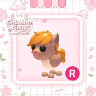 Show Pony R