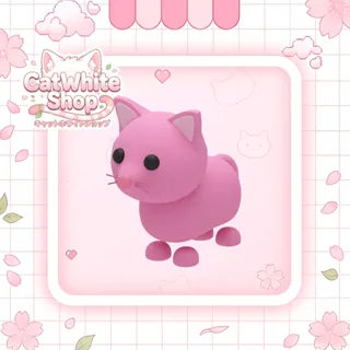 Pink Cat