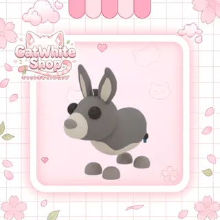 Donkey