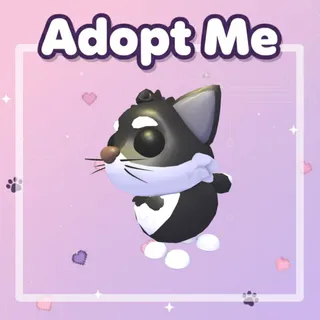 Tuxedo Cat