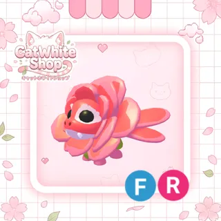 Rose Dragon FR
