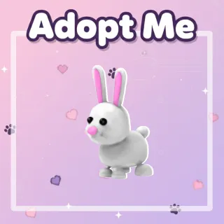 R Rabbit | Adopt Me