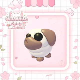 Snowball Pug