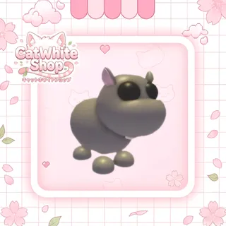Hippo