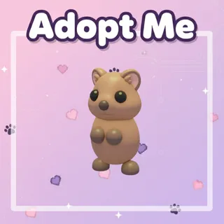 Quokka