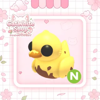 Neon Dirty Ducky