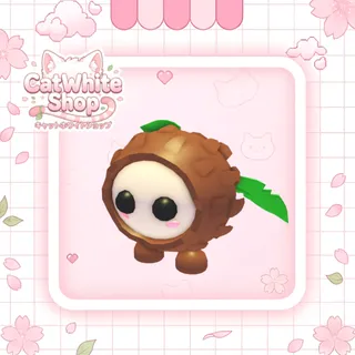 Coconut Friend