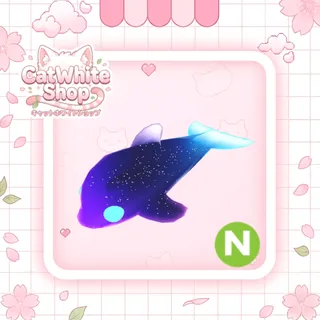 Neon Glormy Dolphin