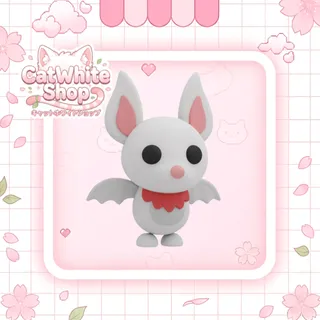 Albino Bat