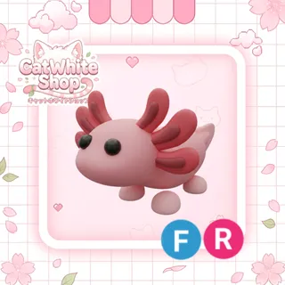 Axolotl FR