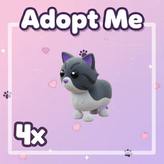 4x Persian Cat